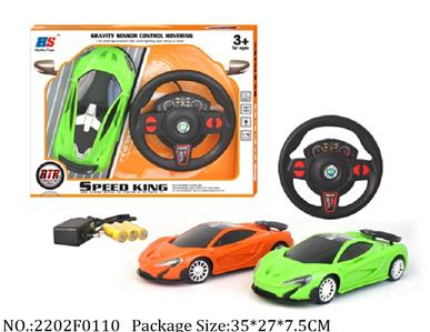 2202F0110 - Remote Control Toys