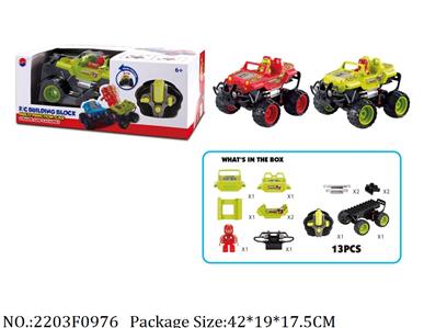 2203F0976 - Remote Control Toys