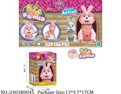 2403B0045 - Battery Operated Toys