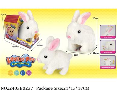 2403B0237 - Battery Operated Toys