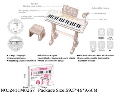 2411M0257 - Music Toys